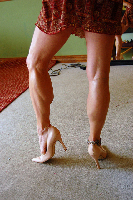 Feeding baby calves Feeding baby calves