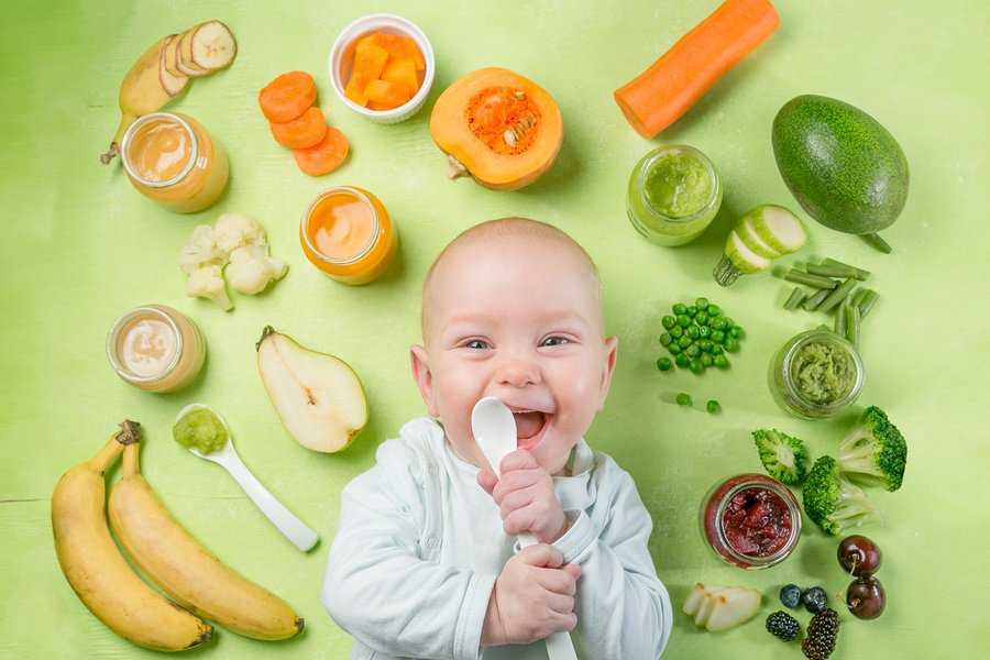 How long to give baby pureed food