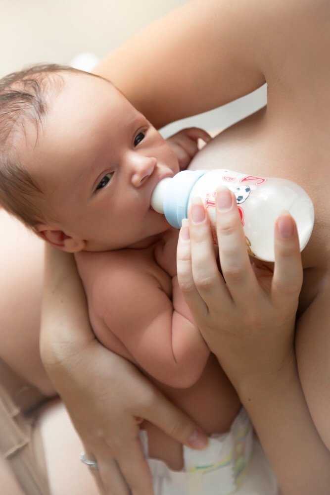 Baby dolphin feeding milk