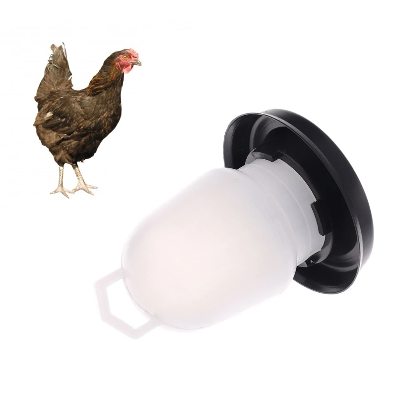 Baby chicken water feeder