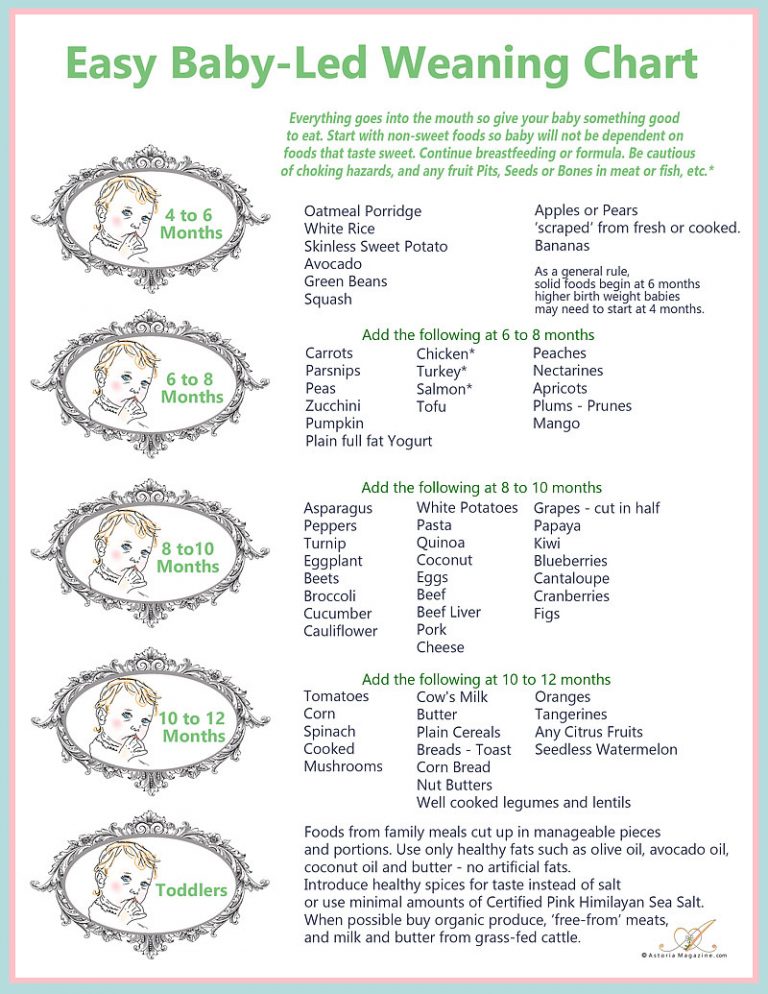 7 month baby food chart with time