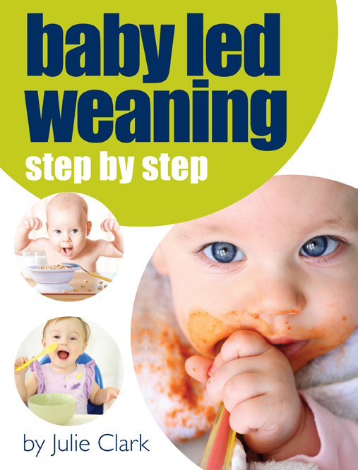 What food to start baby led weaning
