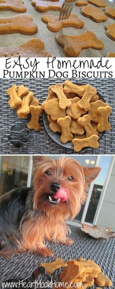 Dog biscuits with baby food