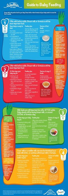 Baby solids daily feeding schedule