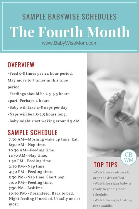 When to start feeding schedule for baby