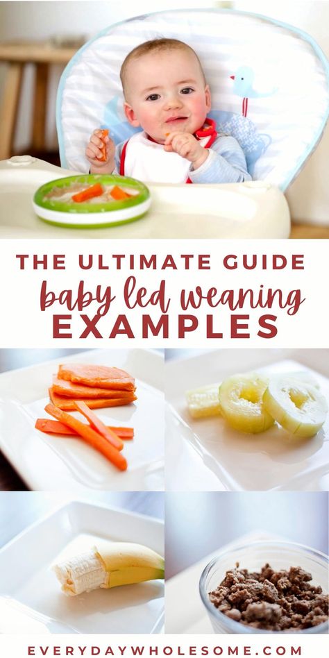 Baby food weaning recipes