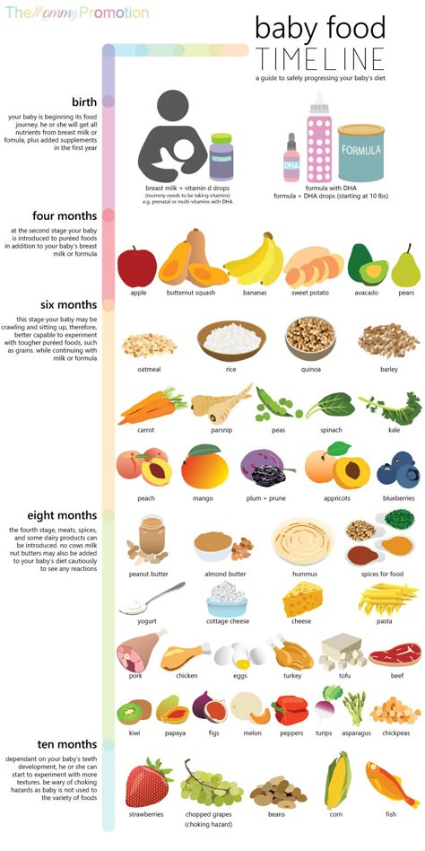 Introducing Solid Foods to Infants - 9.358 - Extension