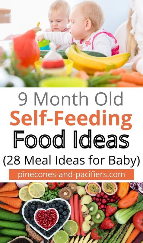 What are the best baby foods to start with