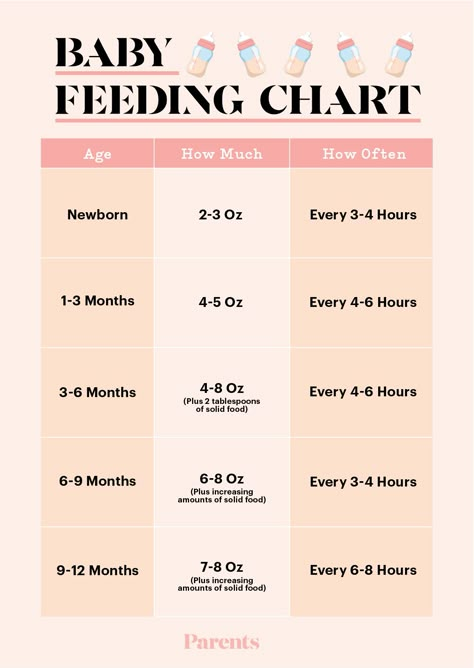 Baby food and formula feeding schedule