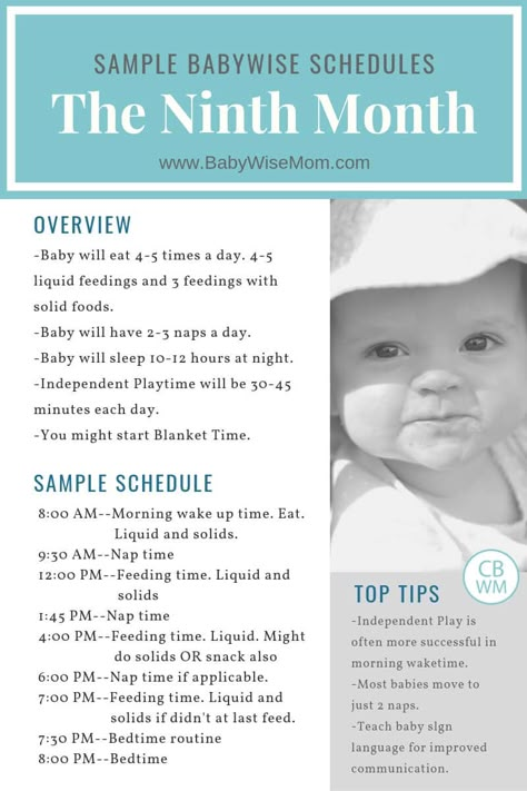 Baby food chart month wise