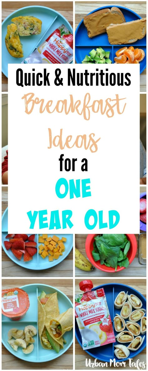 2 year old baby food ideas