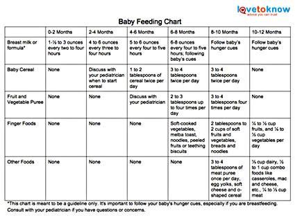 How many times a day to feed baby when starting solids