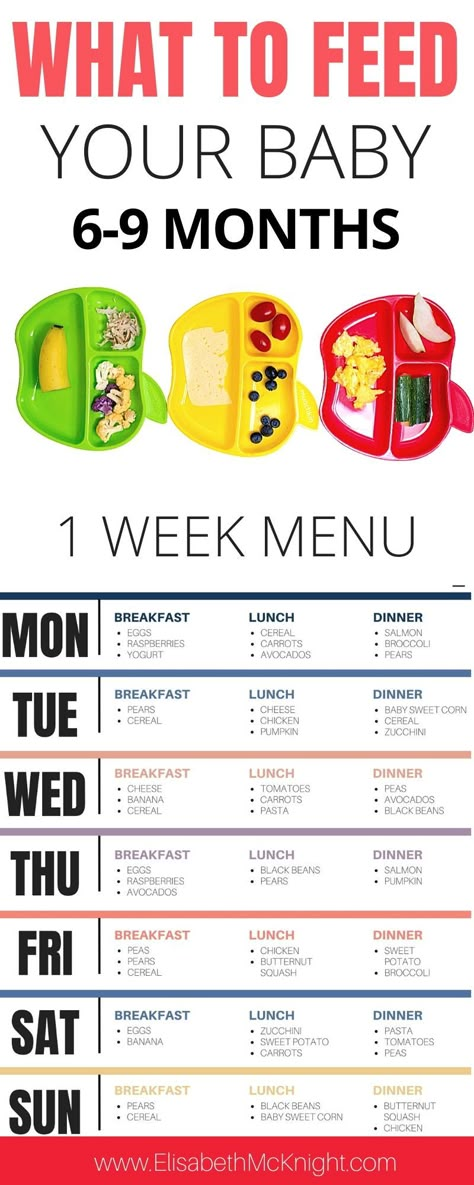 Food guide for 6 month baby