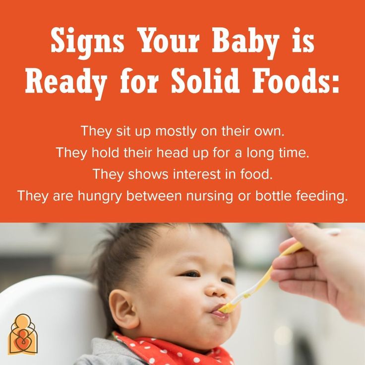 When do babies start to eat real food