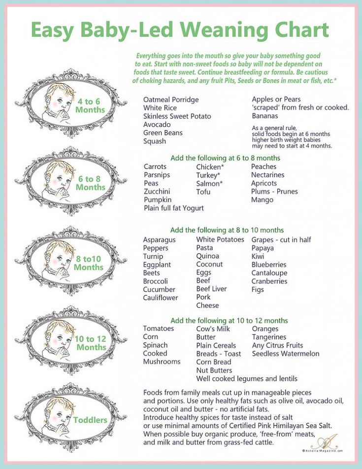 Baby lead weaning food