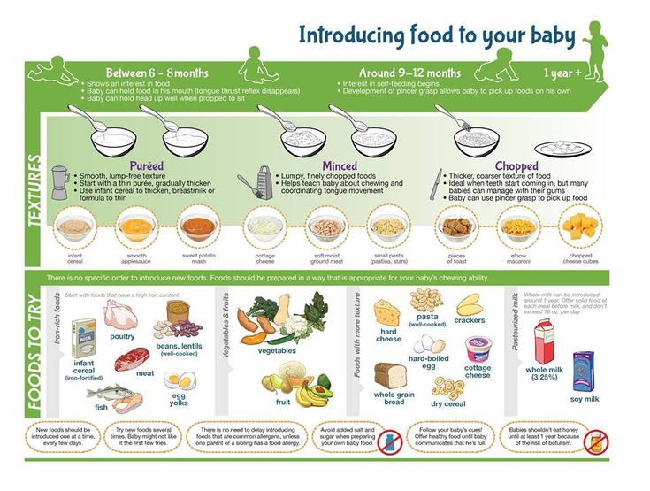 Introducing solid food to baby chart