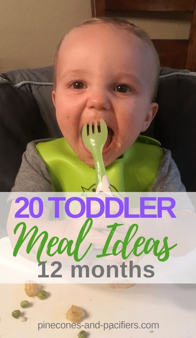 25+ Easy Toddler Lunch Ideas for Daycare - Pinecones & Pacifiers