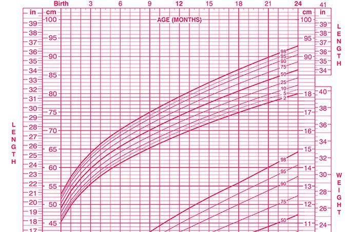 Baby height growth food