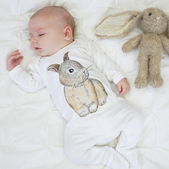 What to feed newborn baby rabbits