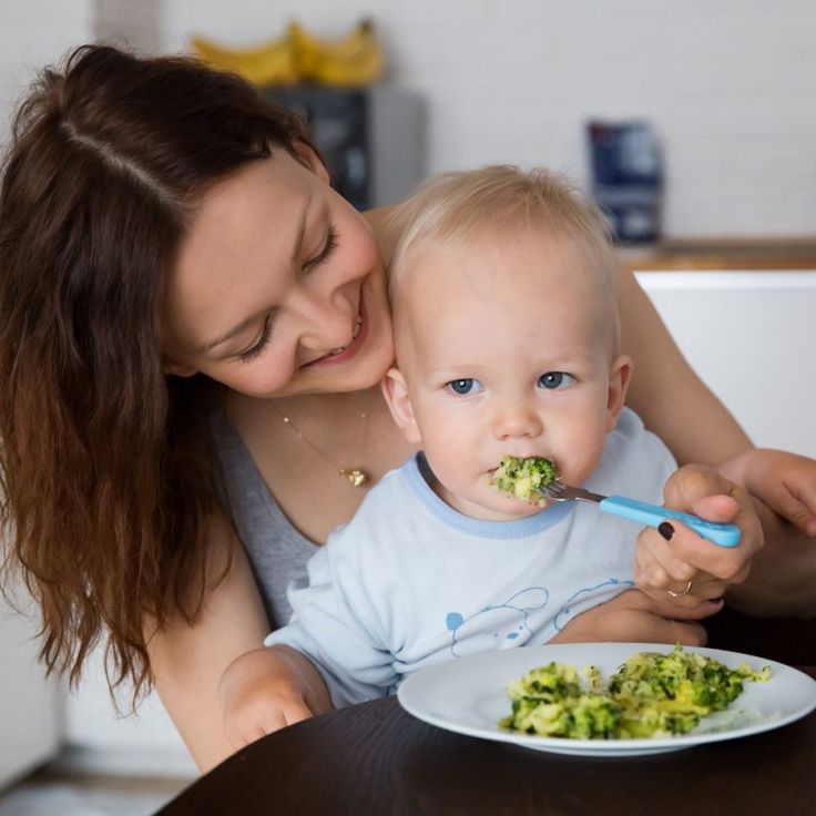 16 month baby not eating food