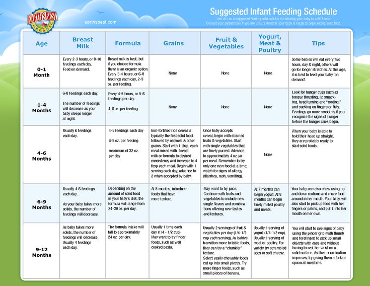 Feeding chart for babies first year