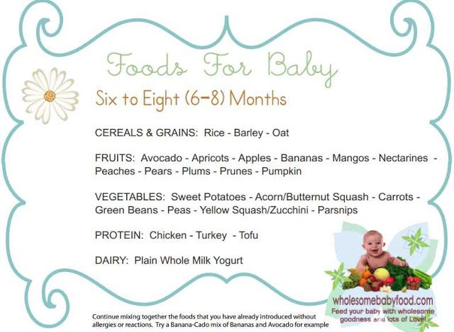 Baby food age 8 months