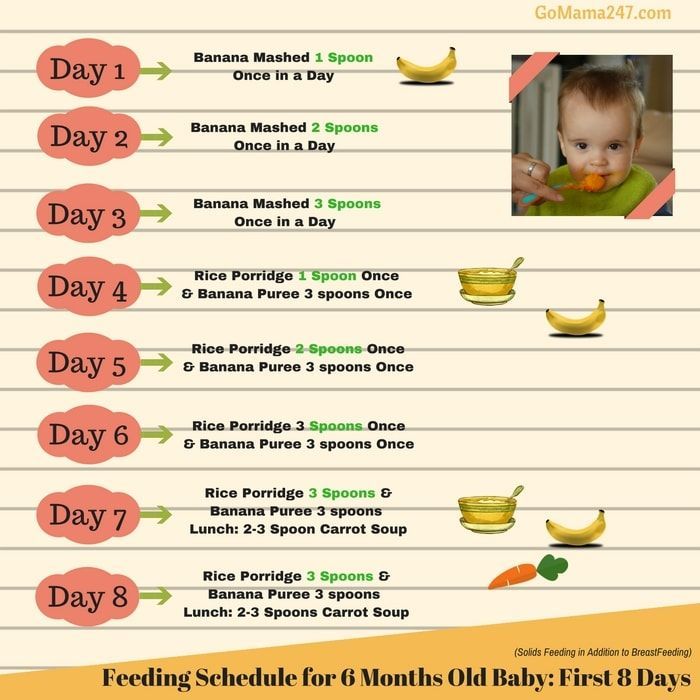 Food chart for newborn babies