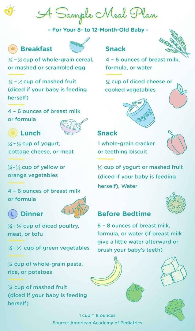 Feeding chart for 8 months baby