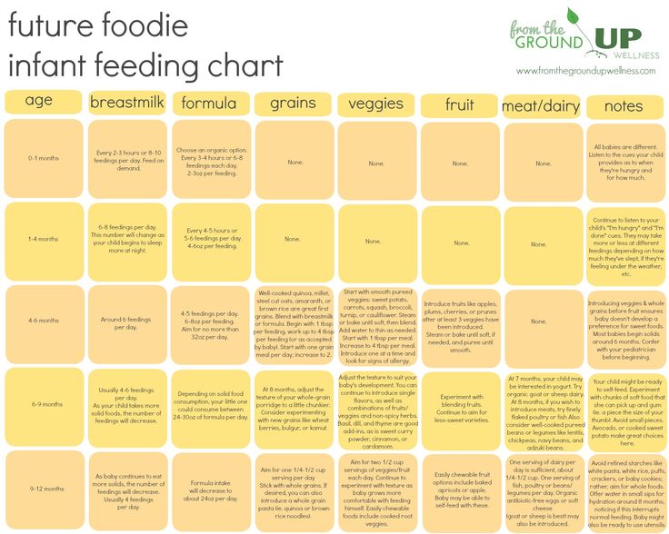 First Year Feeding Schedule: How Much Should My Baby Eat? – Bobbie