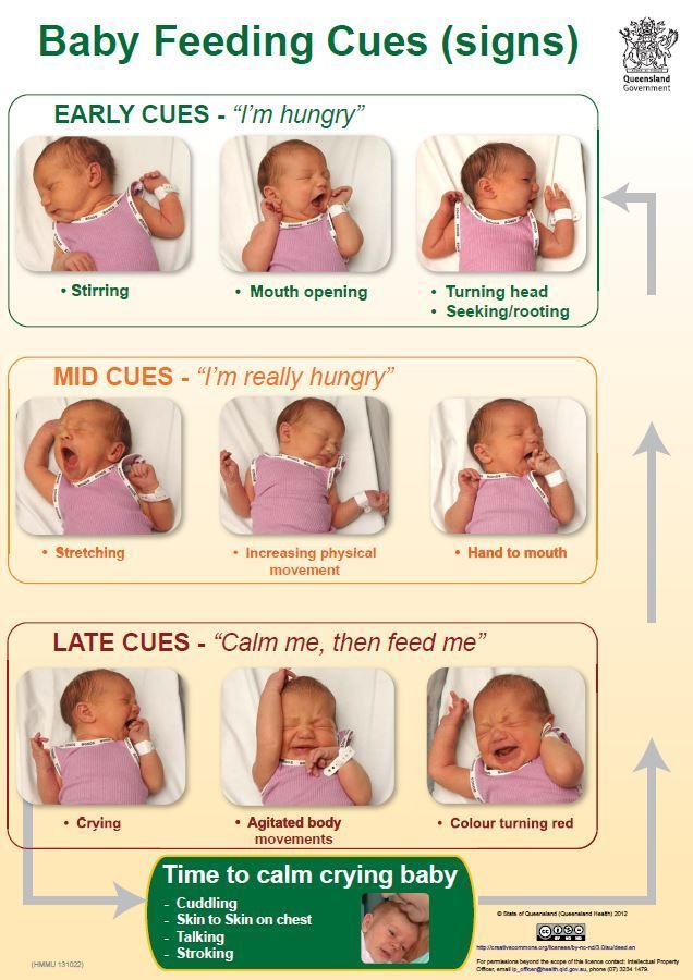 Baby feeding cues not hungry