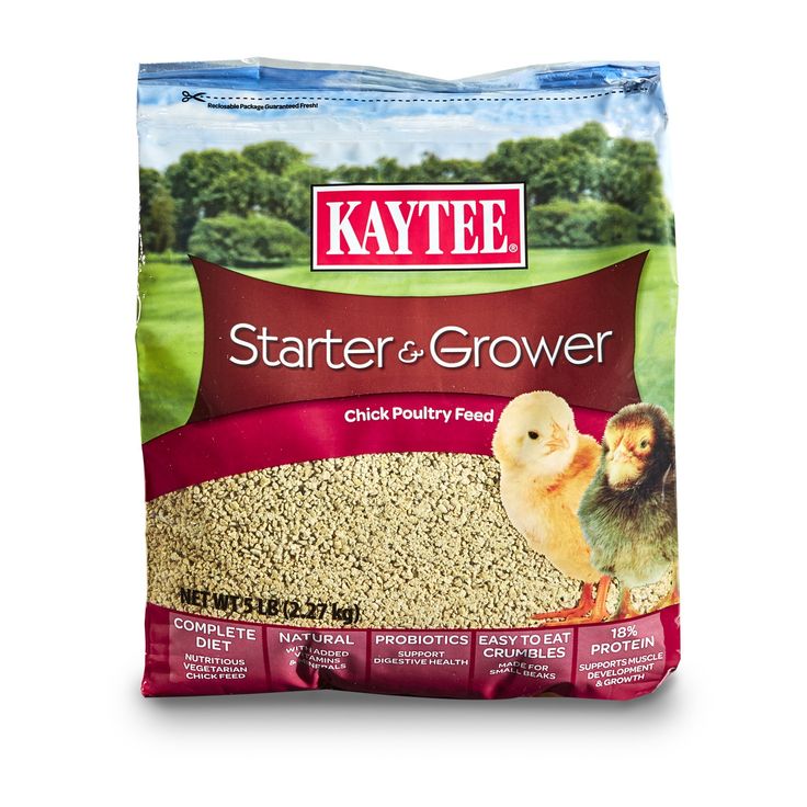 Kaytee exact baby bird food