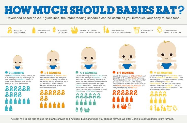 When can you feed a baby solids