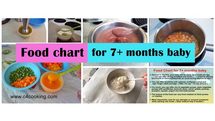 Can babies eat pureed food at 3 months