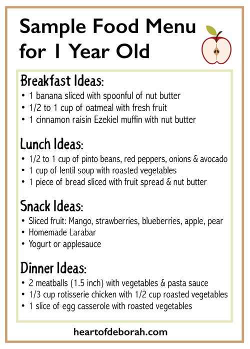 1 yr old baby food schedule