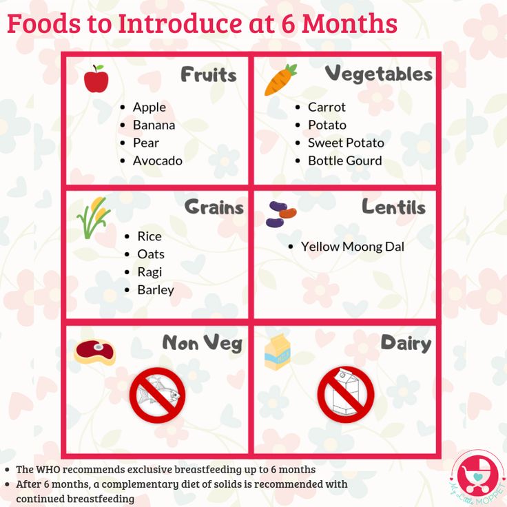 Feeding schedule for 6 month old baby starting solids