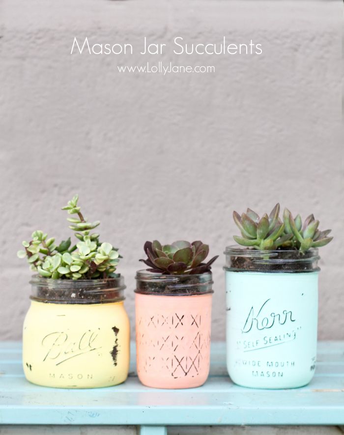 Succulents in baby food jars