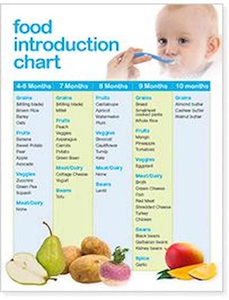 Seven month old baby food schedule