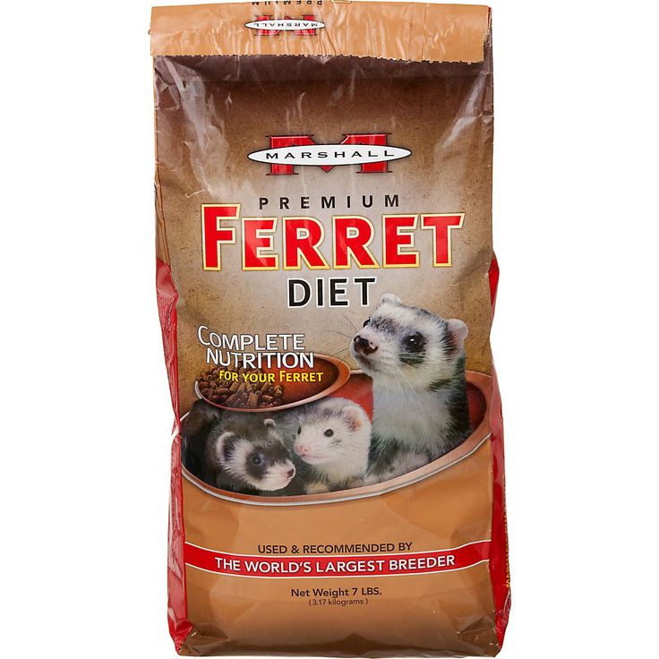 Chicken baby food for ferrets