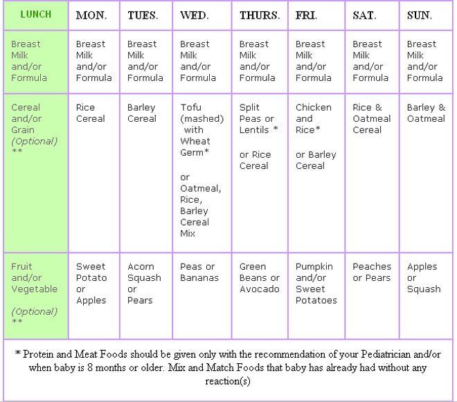 What food should 8 months baby eat