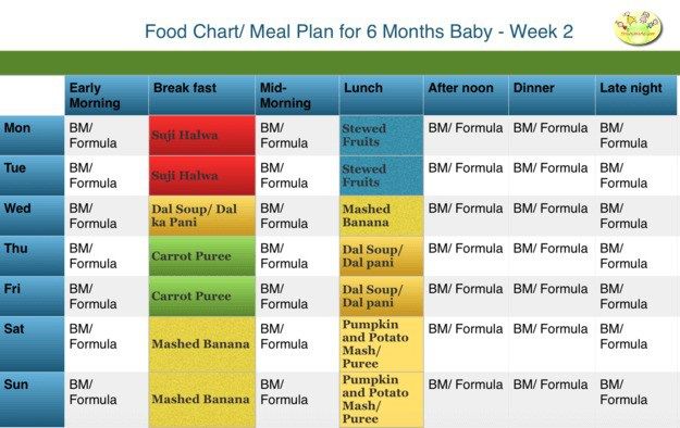 6 months baby food list