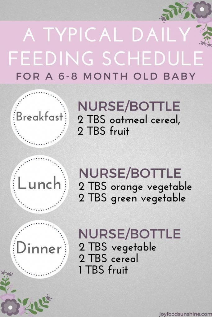 15 month baby food schedule