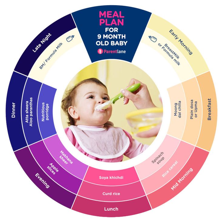 Feeding schedule for 7 month old formula fed baby