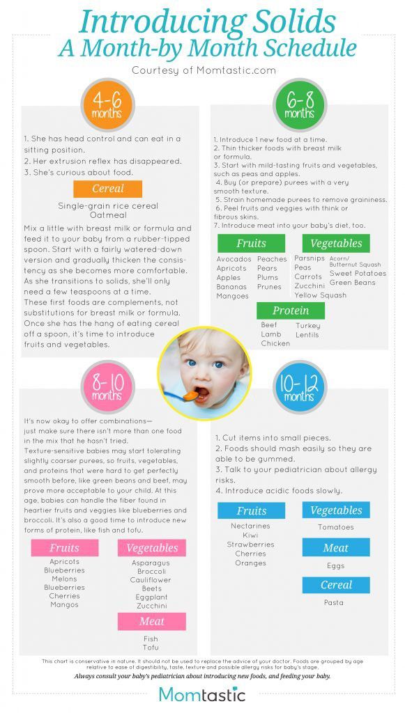 Introduce solid food to baby chart