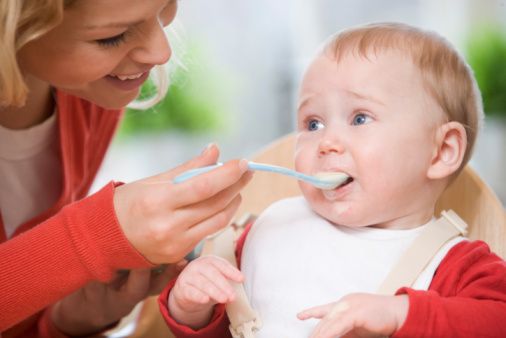 What to feed a baby swallow