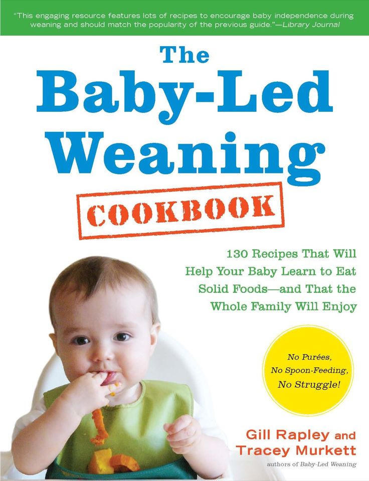 Baby first solid food guide