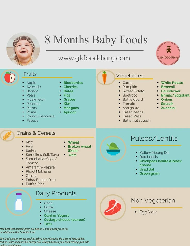 6 month baby food diet chart