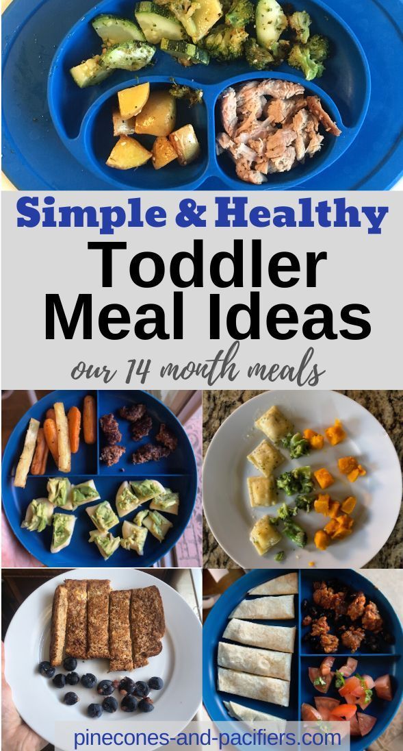 25+ Easy Toddler Lunch Ideas for Daycare - Pinecones & Pacifiers