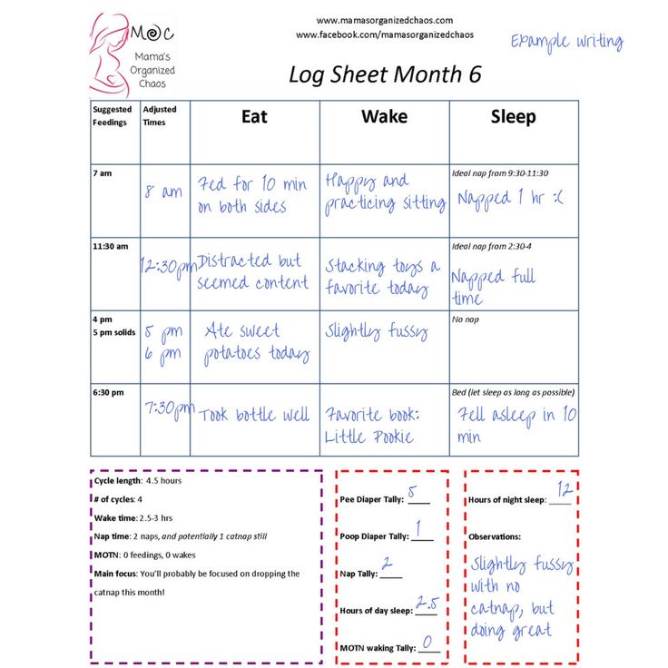 Recommended baby feeding schedule