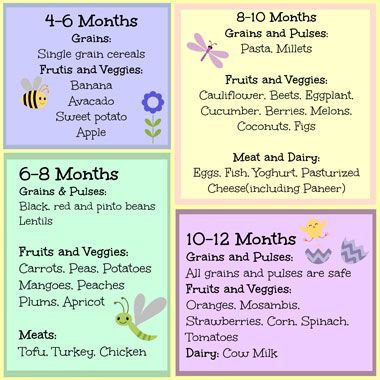 Food chart for baby after 6 month