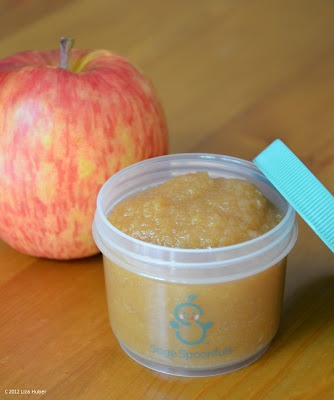 Homemade baby food vs store bought cost